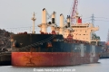Grebe Bulker (KB-D270414-01).jpg