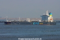 Pacific Cobalt TL-260222-1.jpg