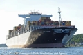 MSC Genova 040611-17.jpg