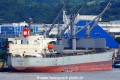 Phoenix K (LW-221025-01).jpg