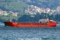 Koralle (OK-180824-0).jpg