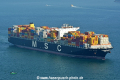 MSC Katie HK-100117.jpg