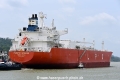 Pacific Qingdao OS-130318-13.jpg
