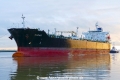 Oscar (OK-041224-1).jpg