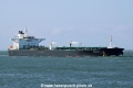 Pelagos (JS-120909-01).jpg