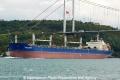 Greener (OK-061013-2).jpg