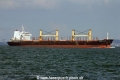 Grampus Ace (MS-310722-04).jpg