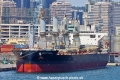 Great Zhou TL-190525-1.jpg