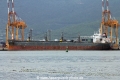 Hammonia Korsika (MS-130815-02).jpg