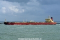 Polar Cod OS-230820-10.jpg