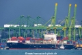 Long Beach Trader OS-101019-03.jpg