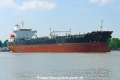 Pelagic Taimen (OK-180522-0).jpg