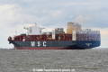 MSC Nitya B JG-130520-02.jpg