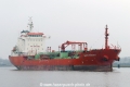 Lady Violet (MB-130316-03).jpg