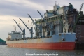 Hamburg Pearl JP-150220-02.jpg
