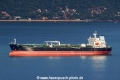 Pine Olia RV-030624-03.jpg