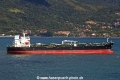 Pine Olia RV-290524-01.jpg