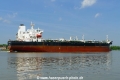 Pelagic Taimen (OK-180522-2).jpg