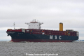 MSC Nitya B JG-060118-01.jpg