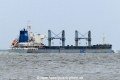 Hamburg Pearl (KK-210220-1).jpg
