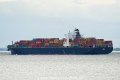 Leo C (KK-010420-2).jpg