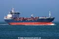Lagertha TL-270325-1.jpg