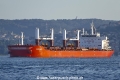 Guardianship (OK-290918-0).jpg