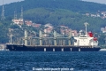 Halit Yildirim (OK-040917-0).jpg