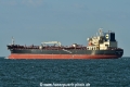 Pratincole Pacific HK-200921-2.jpg