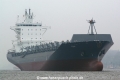 Pona (KB-D230207-03).jpg