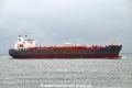 PTI Danube OS-190821-08.jpg