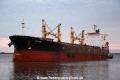 Hector (MB-140715-12).jpg