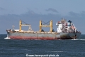 Harriett SH-020614-02.jpg