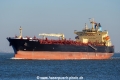Rich Harvest SH-281021-01.jpg