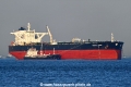 Maran Lupus OS-241025-01.jpg