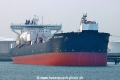 Maran Current TL-030226-2.jpg