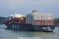 MSC Shuba B OS-180318-22.jpg