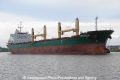 Harlequin (OK-250613-2).jpg