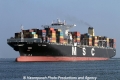 MSC Renee SH-190513-01.jpg