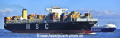 MSC Renee TS2-02052015-2.jpg