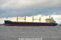 Harvester OS-231117-17.jpg