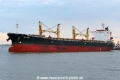 Hector (OK-140715-4).jpg