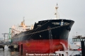 Puma (KB-D101216-01).jpg