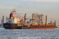 Manta Merve OS-261025-15.jpg