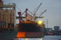 Hawk 1 241014-01.jpg