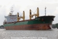 Harlequin (OK-250613-0).jpg