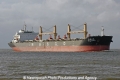 Heilan Bright JG-270511-01.jpg