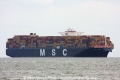 MSC Sonia (MS-141010-04).jpg