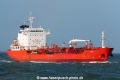 Lisse SH-190120-01.jpg