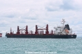 Hoihow OS-081117-13.jpg